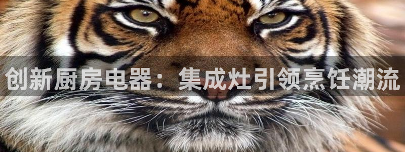 风暴官方娱乐