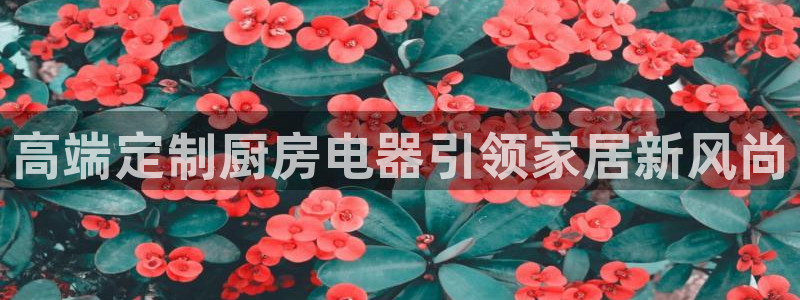 风暴数字娱乐