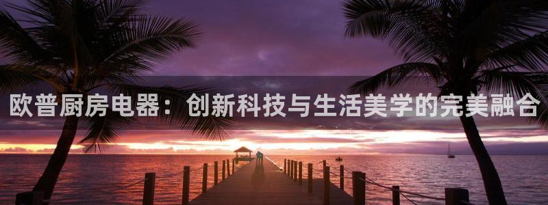 风暴娱乐字图片大全