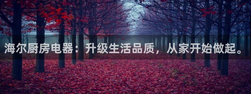 风暴娱乐