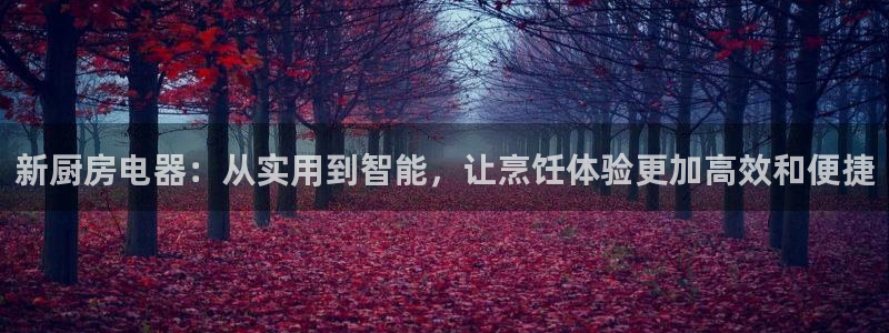 娱乐风暴合集