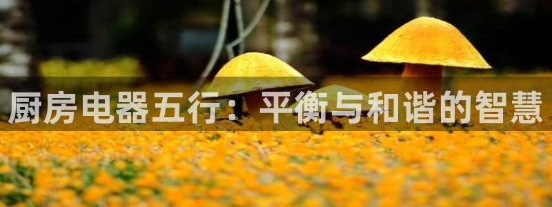 风暴娱乐棋牌