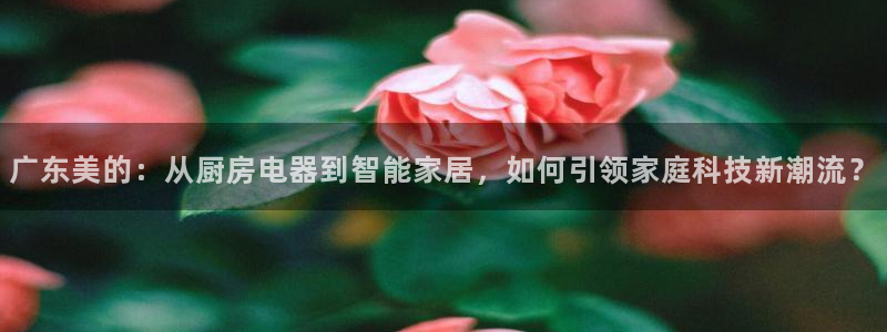 风暴娱乐5O6917