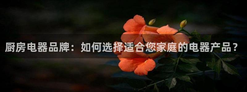 娱乐风暴2