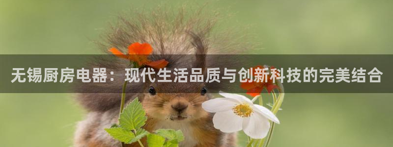风暴娱乐号