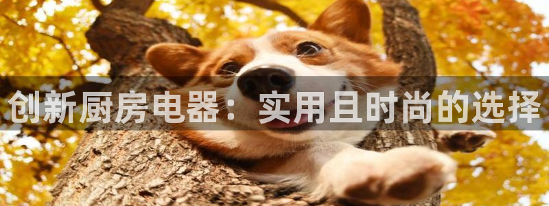 娱乐风暴二