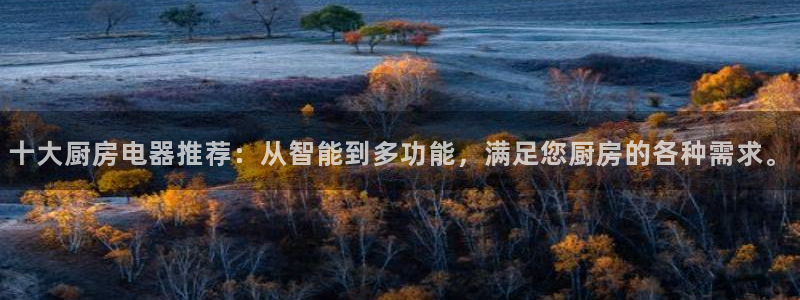 娱乐风暴合集
