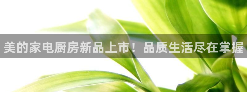 风暴娱乐 北京