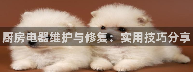 风暴英雄娱乐