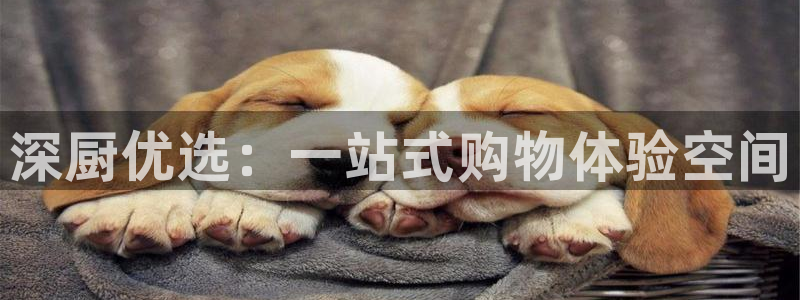 风暴官方娱乐