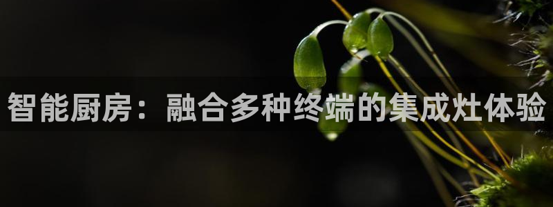 娱乐风暴港