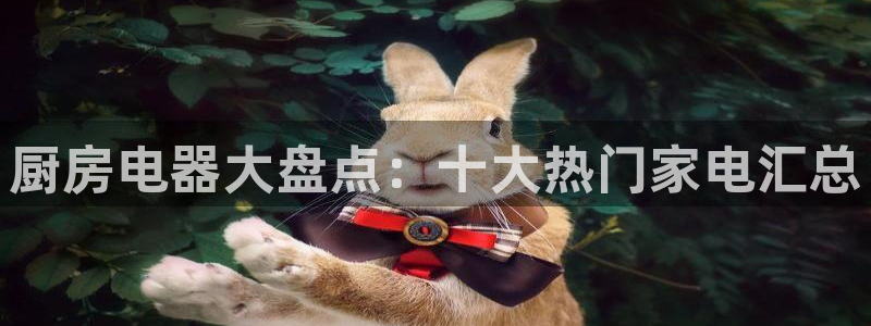 风暴新娱乐