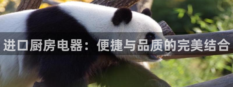 万万娱乐风暴