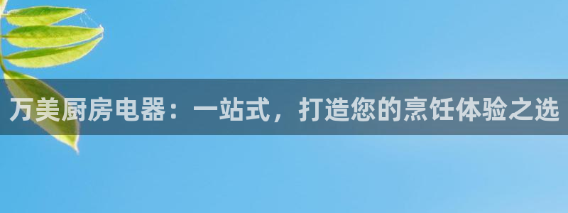 菲律宾风暴娱乐集团
