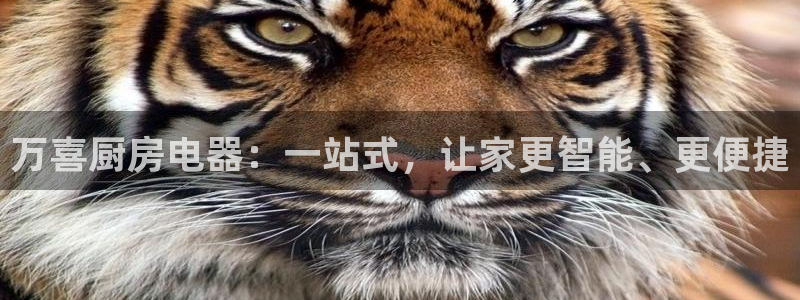 风暴大厅娱乐