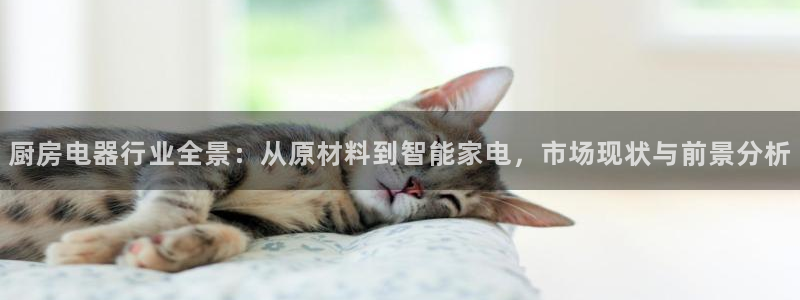 风暴娱乐官方网站