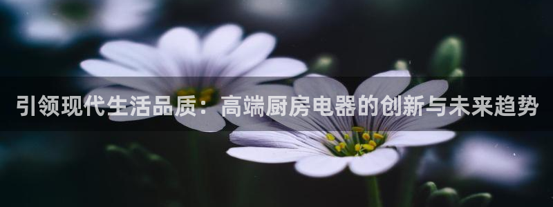 风暴娱乐
