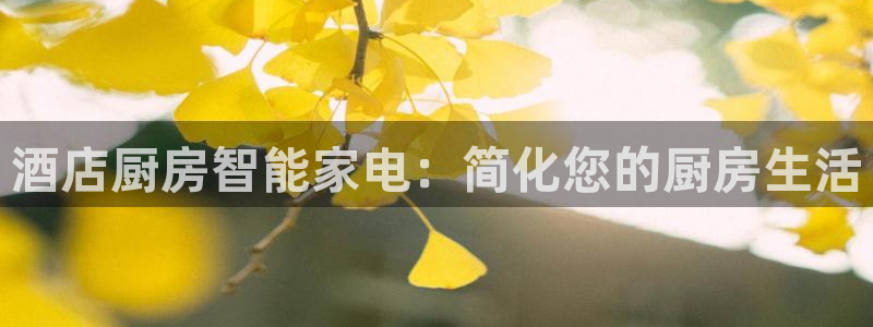 风暴娱乐40996