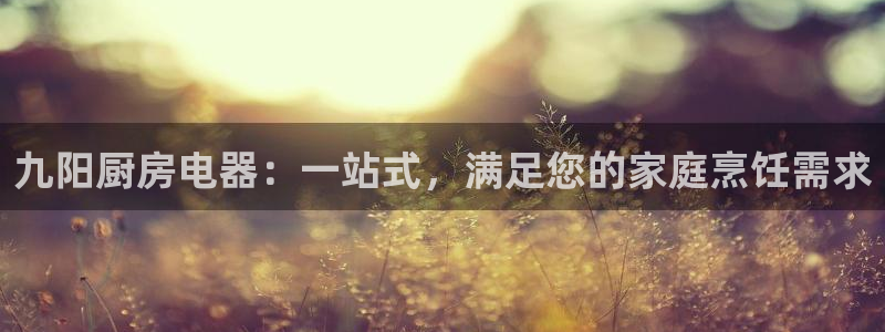 风暴娱乐待遇
