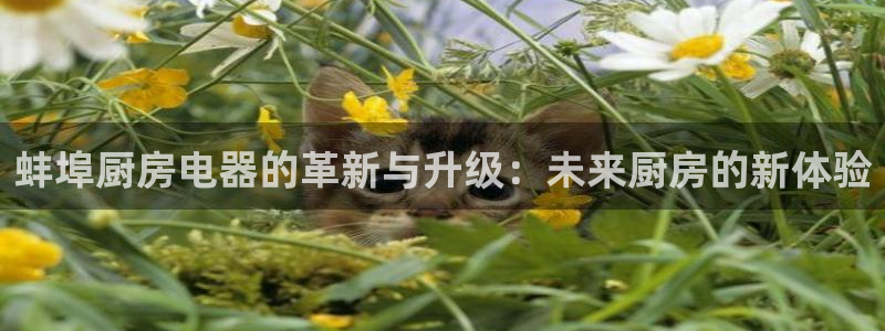 风暴娱乐号