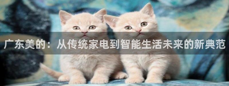 娱乐风暴合集