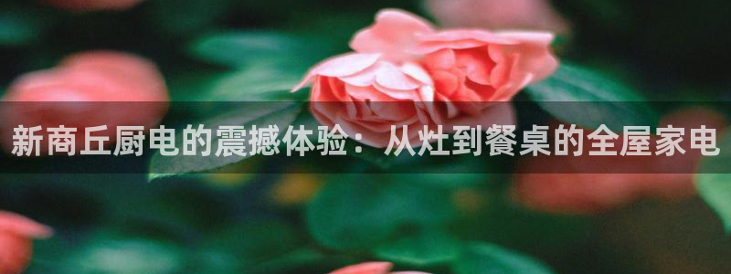 风暴娱乐线路