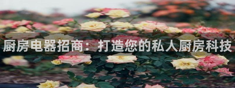 下载风暴娱乐