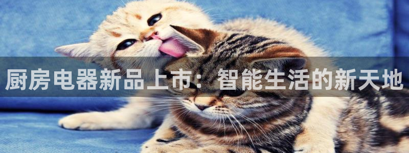 风暴官方娱乐