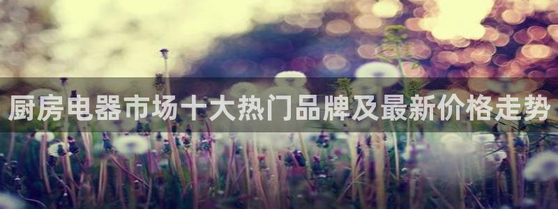 风暴娱乐客服