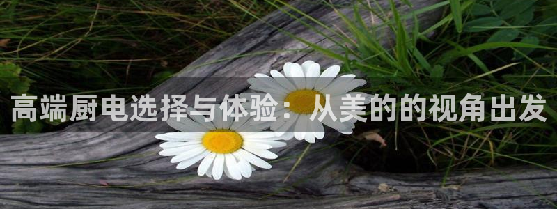 风暴娱乐拉菲8