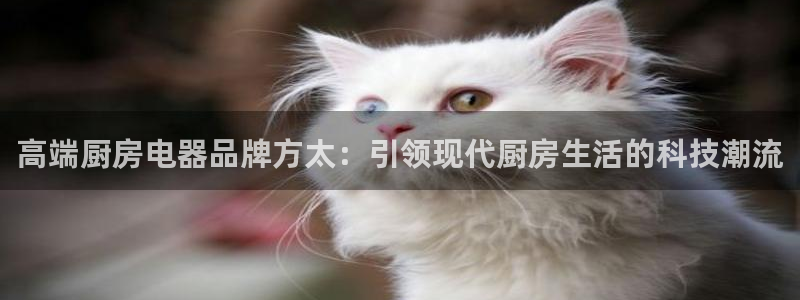 风暴娱乐开户
