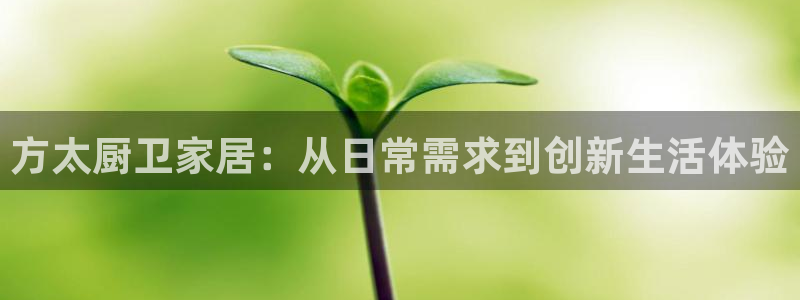 风暴娱乐fb